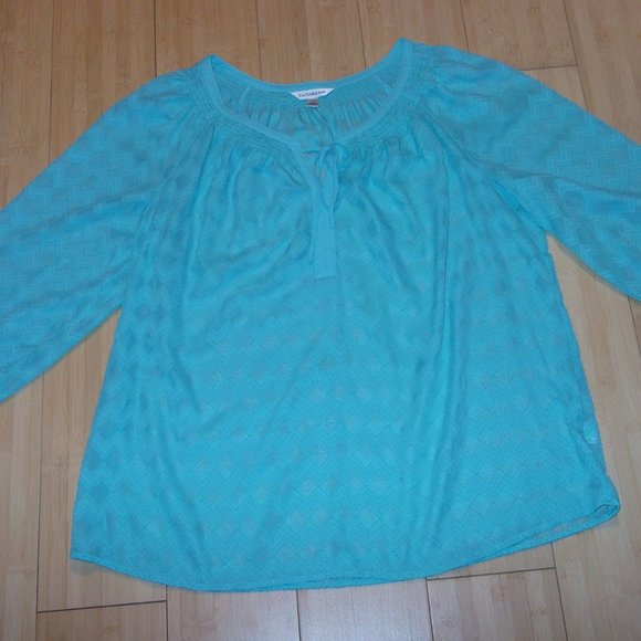 Croft and Barrow Plus Size 1X Blue Sheer Blouse - Picture 6 of 7